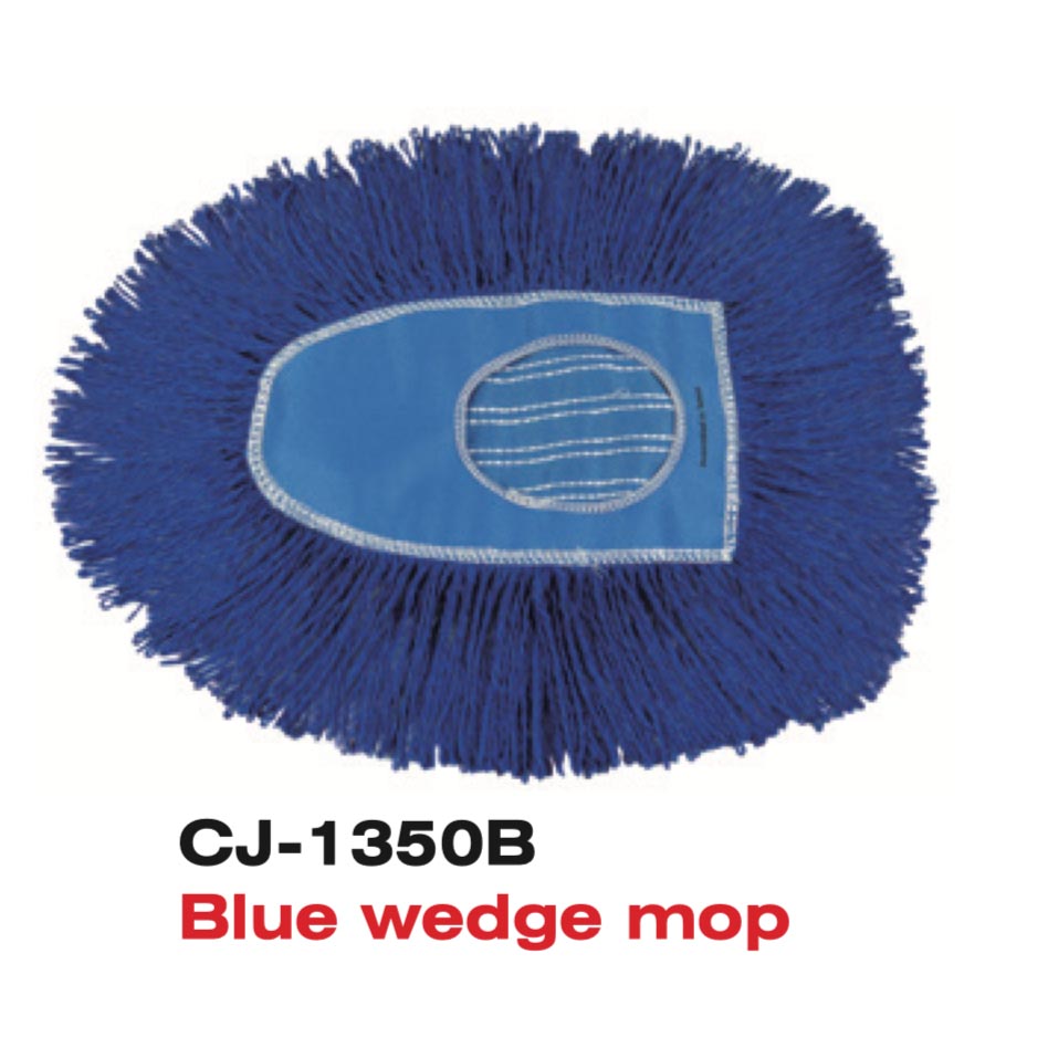 Wedge Dust Mop